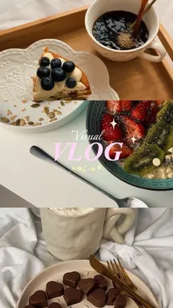 Visual Vlog