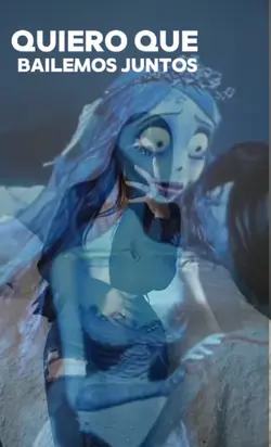 Tu boda maydon