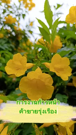 วันจันทร์#1