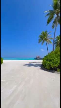On the beach