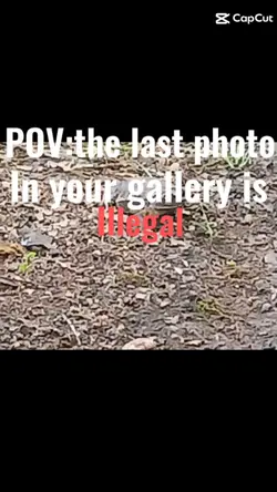 they're ILLEGAL?!