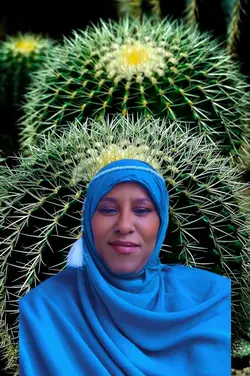 Cactus