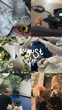 August dump foto