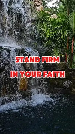 Stand fir