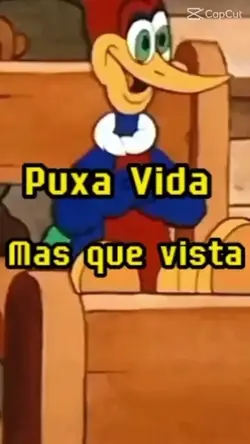 poxa vida que vista 