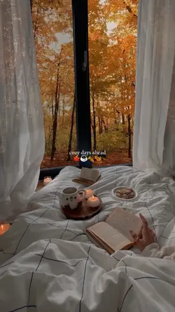 cozy days ahead