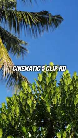 CINEMATIC 5 KLIP HD