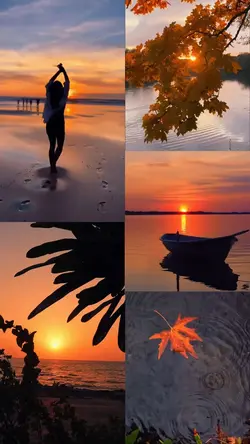 Sunset Moments