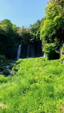 Nature