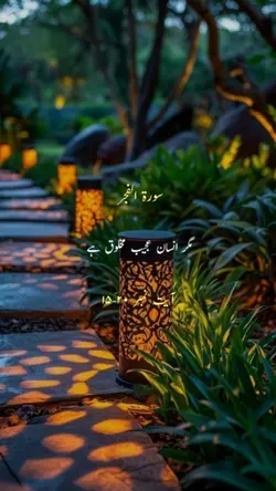 surah fajr 