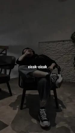 cicak di dinding