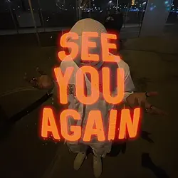 see you again 