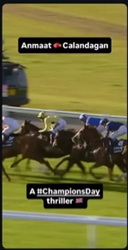 I❤️🏇