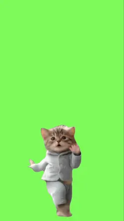 Dancing cat