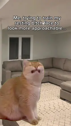 cat forcing smile