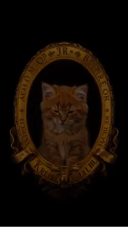 Purr  Studio. 
