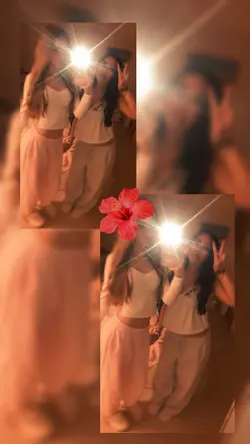 bsf collage