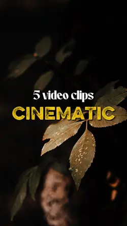 5 Video Cinematic