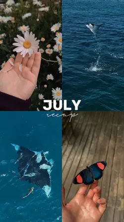 July recap 