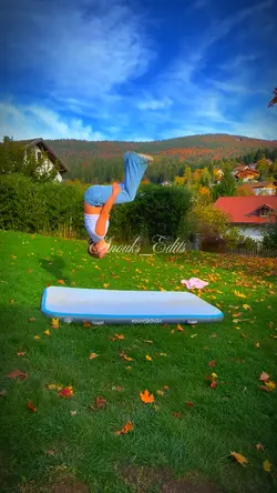 Gymnastic