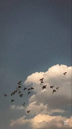 din jawani k aye hov