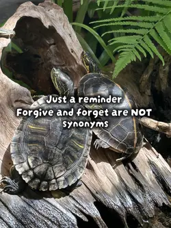 Js a reminder 