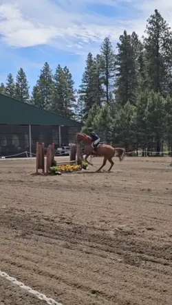 she rode him tdyyy