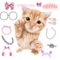 dress the kitty