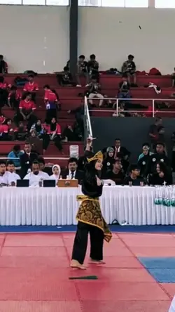 solo kreatif silat