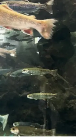 人魚になった気分で🙋🏻‍♀️🙋🏻‍♀️