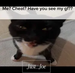 Cheat?
