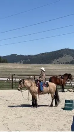Montana 