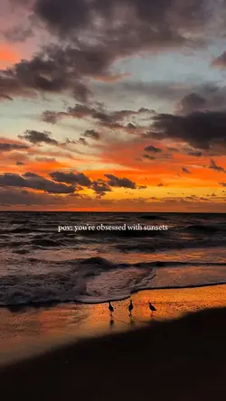 OBSESSED SUNSET