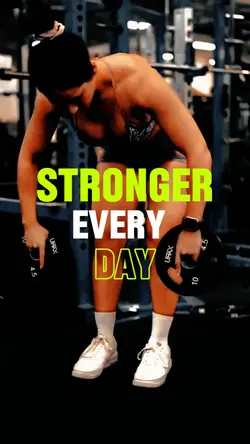 gym fitness 