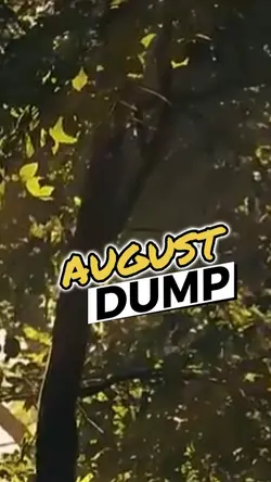 AUGUST DUMP #1