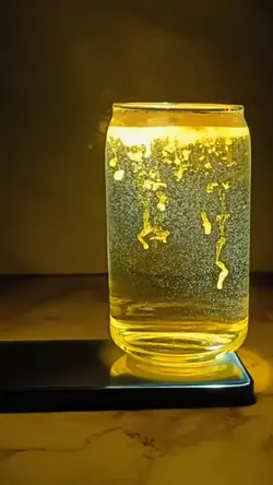 TURMERIC TREND