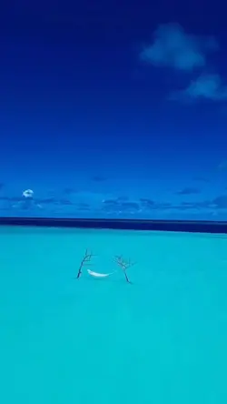 7 VIDEOS FOR YOU 