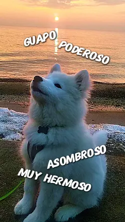 Guapo y poderoso