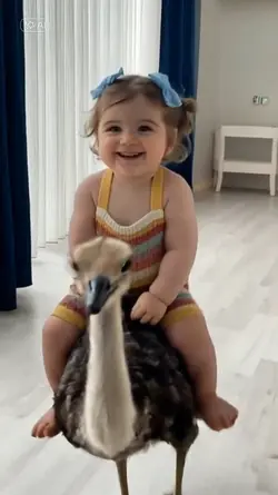 Riding a ostrich 