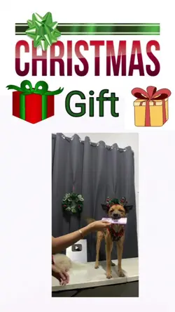 Christmas gift