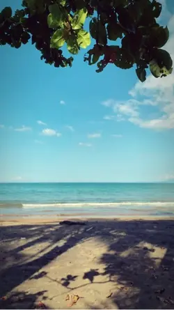 Beach vibes 🏝️🌊🍃