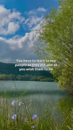 Learn