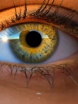 EYE ZOOM IRIS