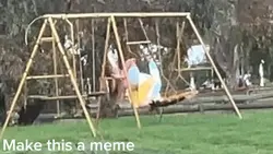 Make this a meme……..
