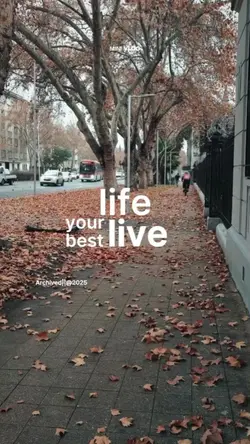 life your best live