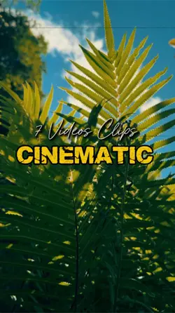 Cinematic 7 Videos