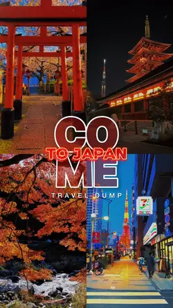 COME TO JAPAN DUMP