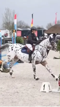Showjumping raws