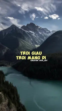 TGTMD