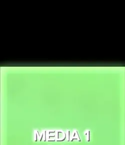 MONTAGEM PRRIGOSA